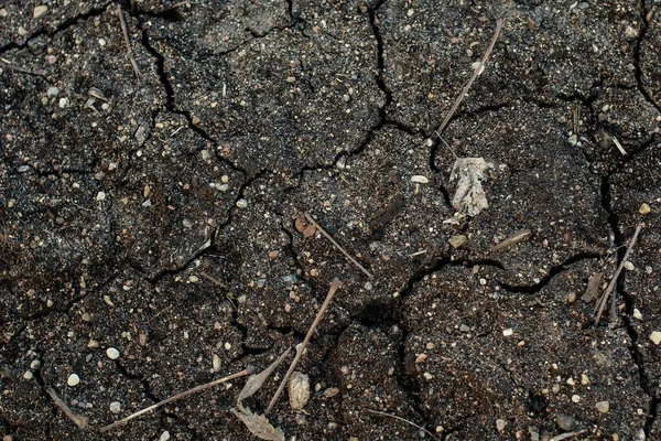 Tierra agrícola seca, suelo agrietado, fondo negro — Foto de Stock