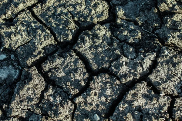 Droge zwarte landbouwgrond, gebarsten grond, achtergrond — Stockfoto