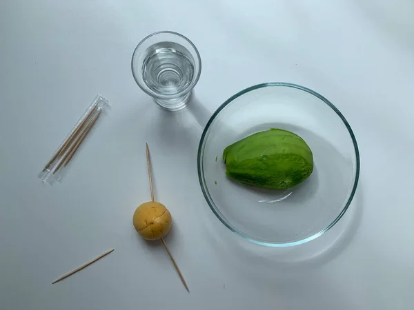 Proceso Cultivo Aguacate Una Olla Casa Preparación Para Aterrizaje —  Fotos de Stock