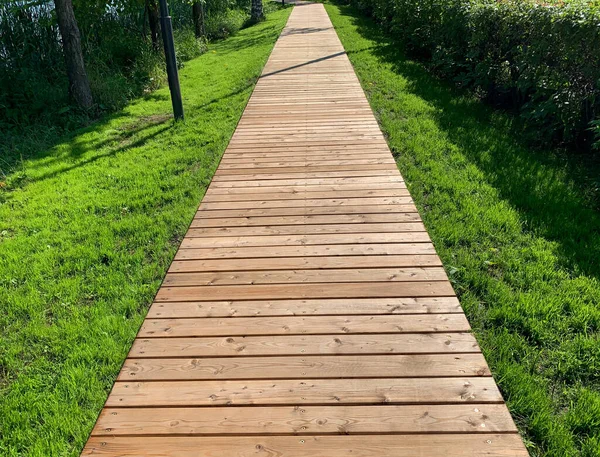A narrow wooden path. There is a green lawn along the path. Landscaping of parks and squares. A place to relax and walk in good weather in the fresh air