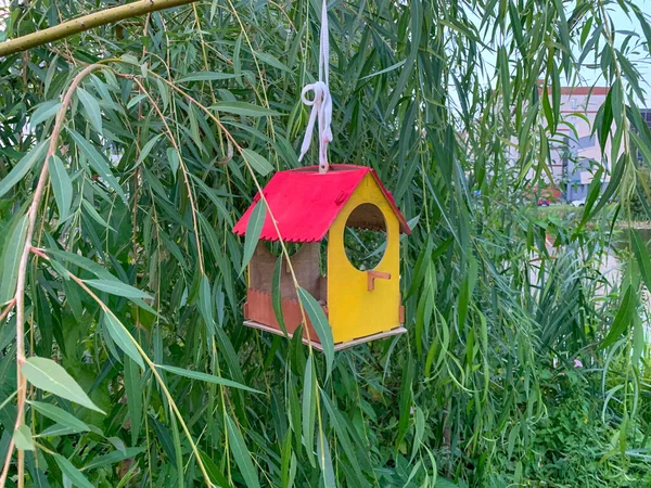 Kırmızı Çatılı Sarı Duvarlı Küçük Bir Kuş Evi Söğüt Dalına — Stok fotoğraf