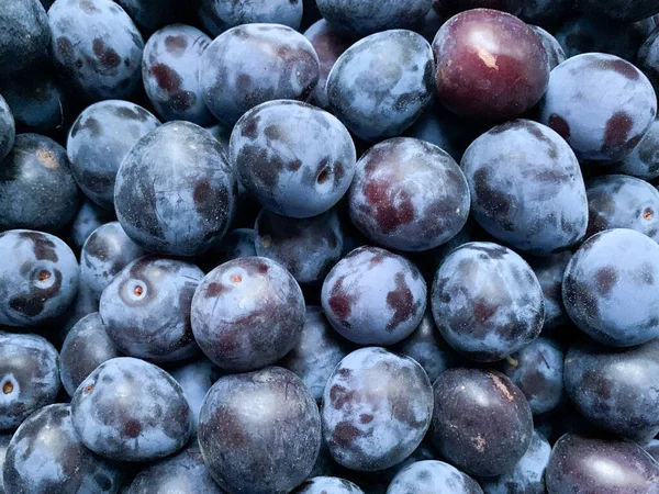 Taze kuru erik yakın plan. Yukarıdan bir fotoğraf. Meyve hasadı bahçede toplandı. Sağlıklı yiyecekler, bahçeler, vitaminler..