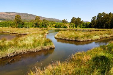 Ullo tuz daireler, Vigo bay, Vilaboa Pontevedra, İspanya sonundaki