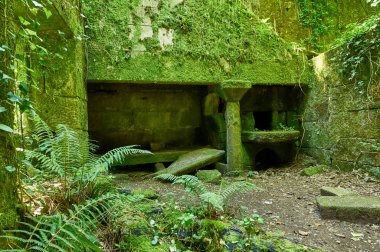 Eski harabeler Lareira denilen bir Galiçyaca mutfak
