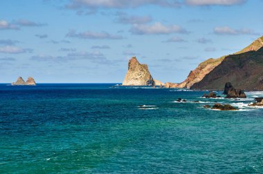 A görüntülemek ot Tenerife North Coast, Kanarya Adaları, İspanya
