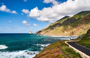 A görüntülemek ot Tenerife North Coast, Kanarya Adaları, İspanya