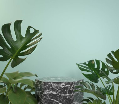 Mockup Siyah Mermer Podyumu Naneli Tropik Bitkiler 3D Render