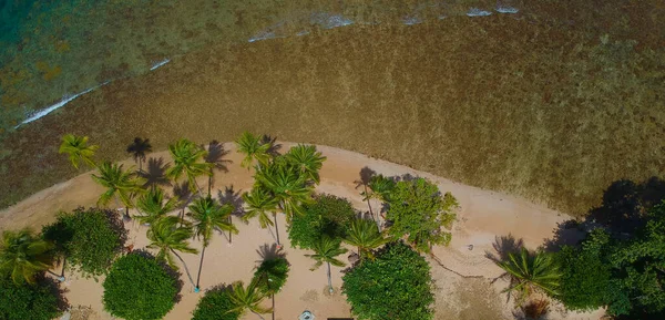 Marée Basse Sur Une Île Tropicale Front Mer — Photo