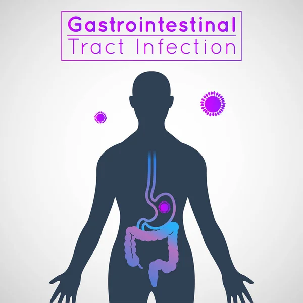 Gastrointestinal sistem enfeksiyonu İnfografik simge tasarımı, Medica — Stok Vektör