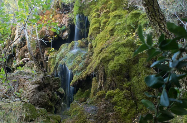 Mistik görünümlü küçük bir şelale.