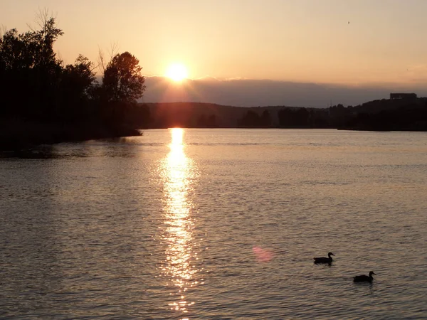 Lake Ducks Sunset Ruidera Lakes Ciudad Real — Stock Photo, Image