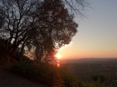 Ormanın ortasında güneş