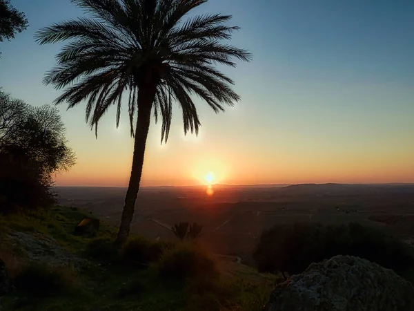 Ormanın ortasında bir avuç avuçla gün batımı