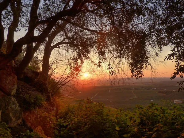 Ormanın ortasında gün batımı