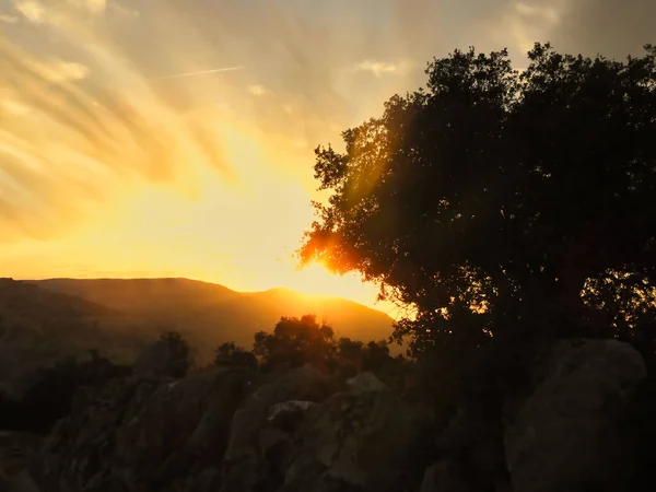 Ormanın ortasında güneş