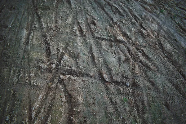 Çamurda bisiklet izleri