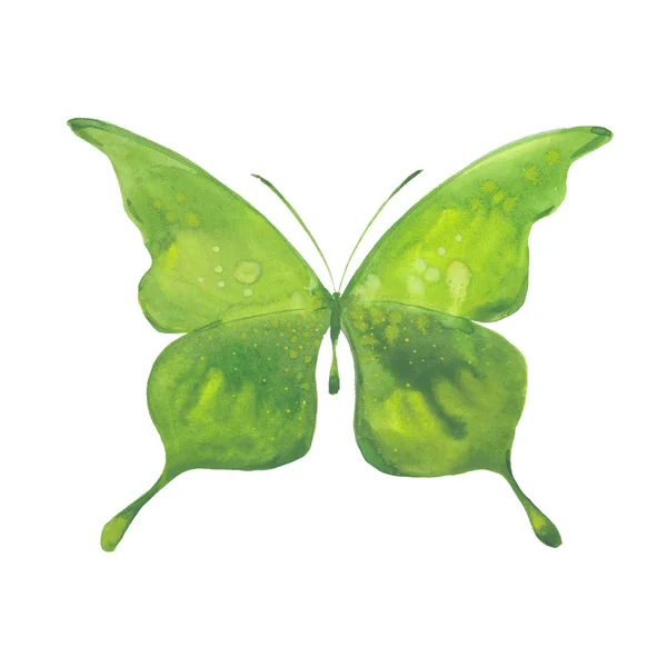 Gröna akvarell fjäril — Stockfoto