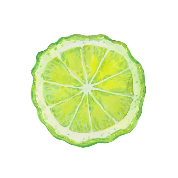 Watercolor  bergamot slice — Stock Photo, Image