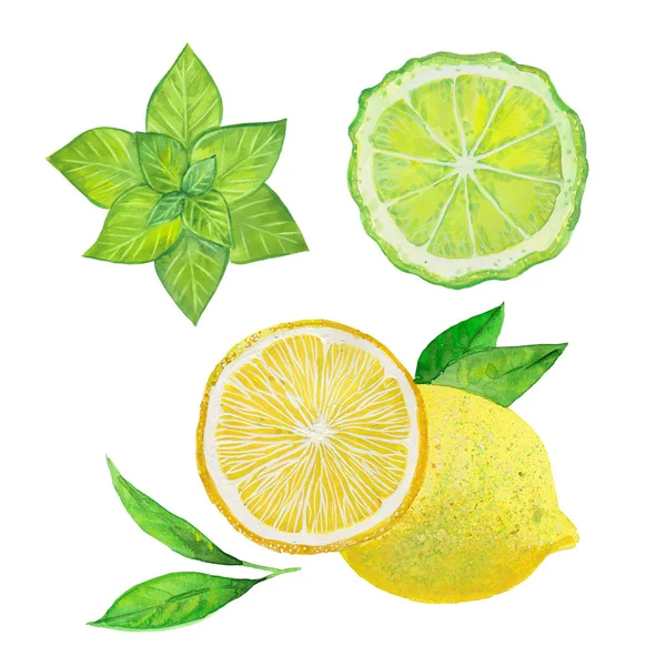 Мята, бергамот и лимон — стоковое фото