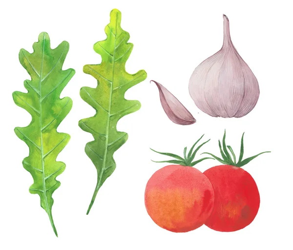 芝麻菜, 大蒜和西红柿 — 图库照片