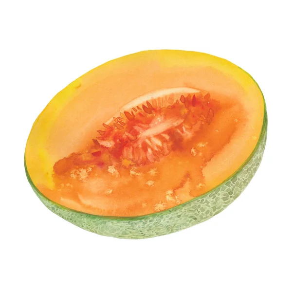 Die Hälfte der Melone — Stockfoto