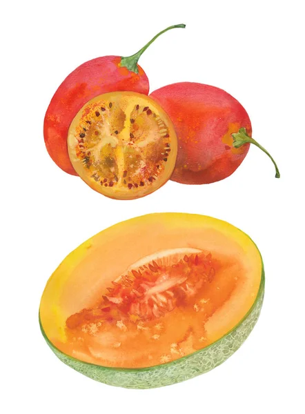 Tamarillo e melone — Foto Stock