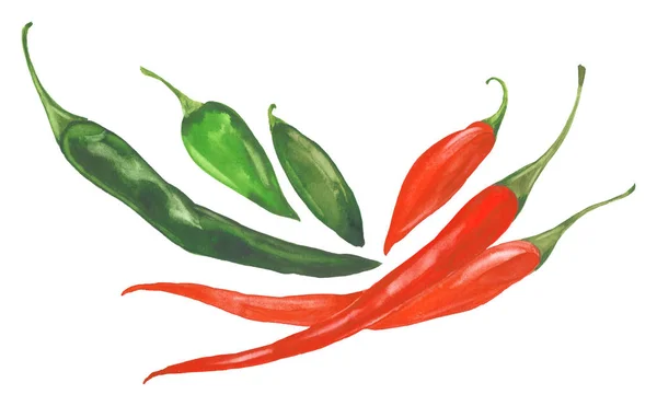 Akvarelu chilli papričky — Stock fotografie