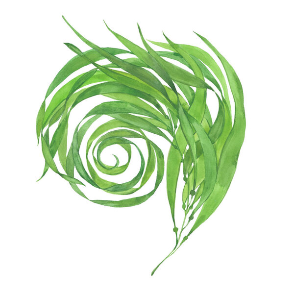 watercolor green seaweed