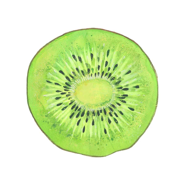 Watercolor  green kiwi — Stock Photo, Image