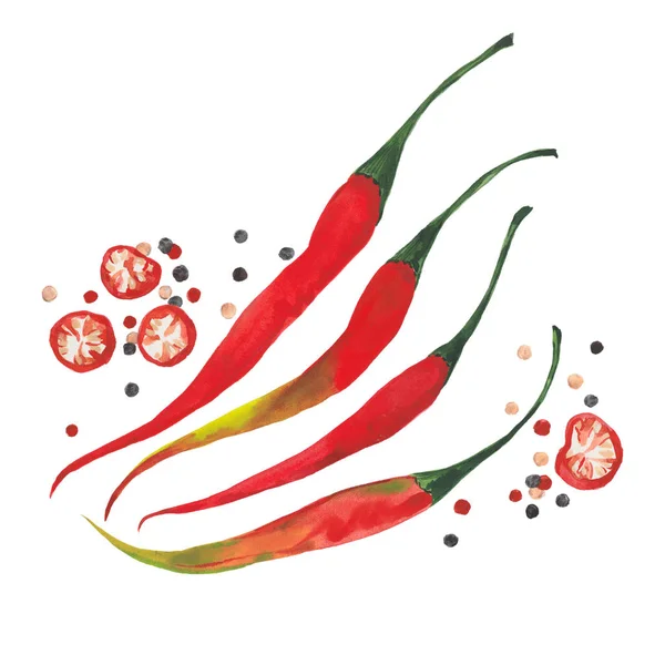 Akvarelová červená paprika — Stock fotografie