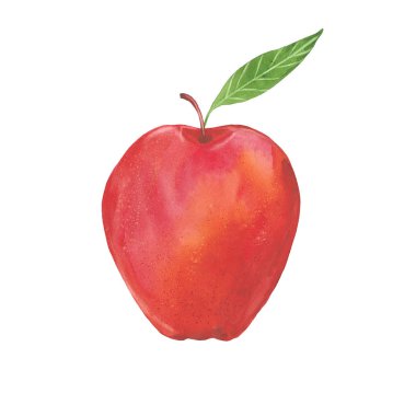 kırmızı sulu elma yaprağı. El suluboya resim çekilmiş. Resimde beyaz arka plan üzerinde