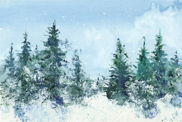 Forêt Épinettes Illustration Aquarelle Sur Fond Blanc — Photo