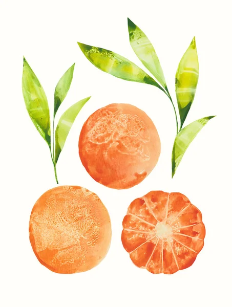 Três tangerinas com raminhos — Fotografia de Stock