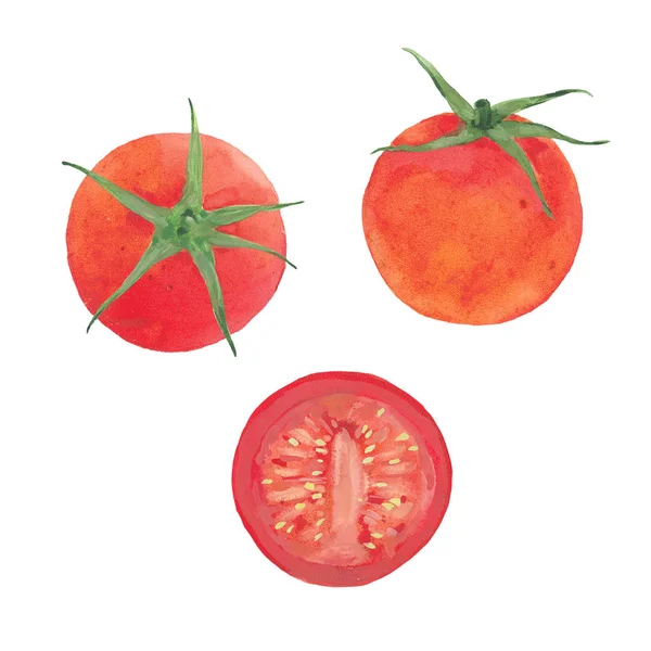 Акварельный красный помидор — стоковое фото
