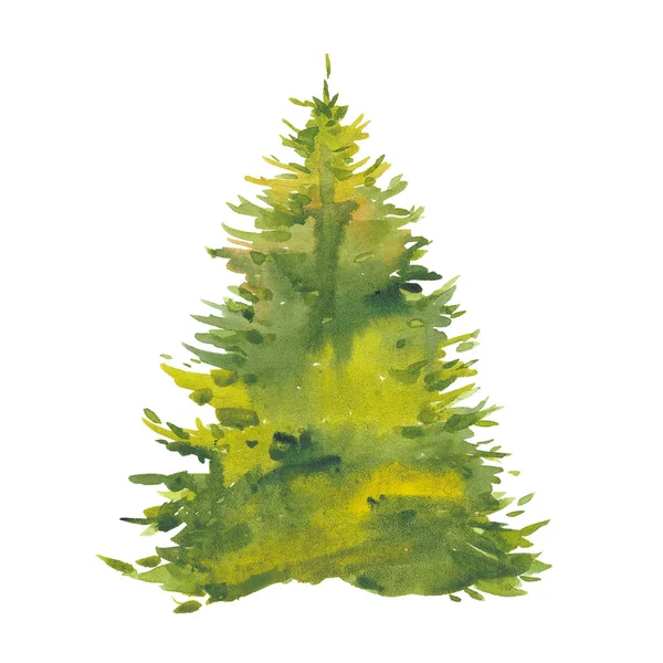 Watercolor green spruce — Stock Photo, Image