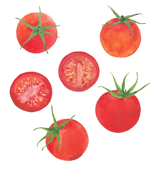 Tomates vermelhos aquarela — Fotografia de Stock