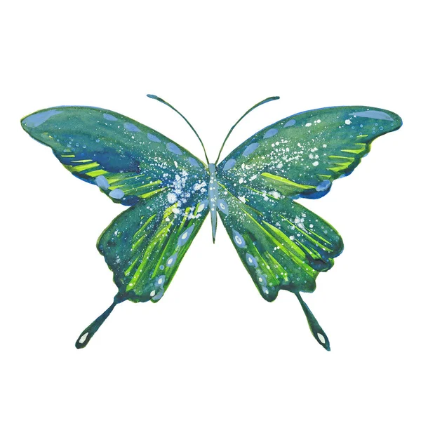 Akvarell grön fjäril — Stockfoto