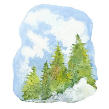 İğne yapraklı orman ve gökyüzü