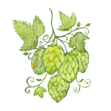 suluboya dal sekmeleri