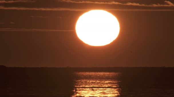 Obrovský zlatý západ slunce nad oceánskými auty a chodci — Stock video