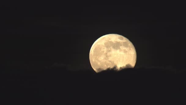 Luna llena detallada elevándose por encima de las nubes de cerca — Vídeos de Stock