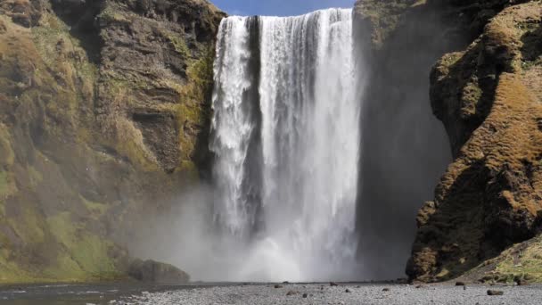 Skogafoss Island Wasserfall Nahaufnahme Zeitlupe Vögel fliegen sonnigen Tag — Stockvideo