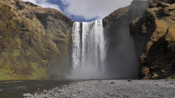 Vogels vliegen in de voorkant van de Skogafoss waterval IJsland slow motion wide shot — Stockvideo