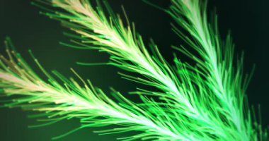 Büyüyen çiçek konseptinin soyut animasyonu