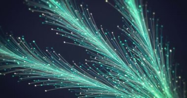 Büyüyen çiçek konseptinin soyut animasyonu