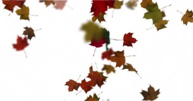 Düşen yaprakların canlandırması sonbahar döngüsü