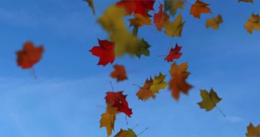 Düşen yaprakların canlandırması sonbaharda