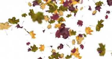 Düşen yaprakların canlandırması sonbahar döngüsü