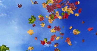 Düşen yaprakların canlandırması sonbahar döngüsü