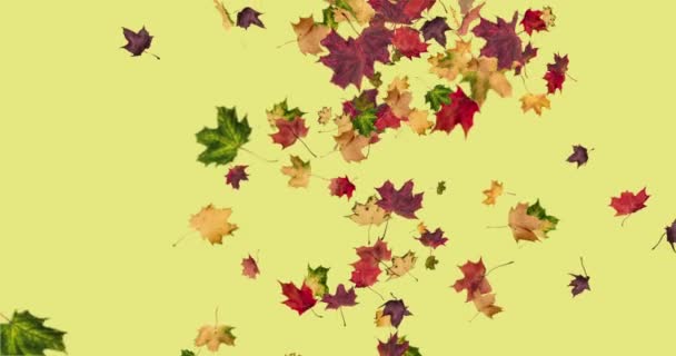 Animation Von Fallenden Blättern Herbst Schleife — Stockvideo